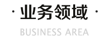 业务领域
