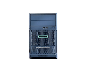 惠普（HPE）ProLiant ML30 Gen10 Plus 单路塔式服务器